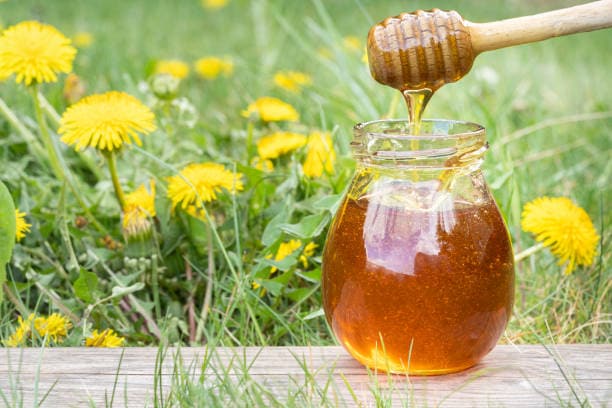 تصویر 1 از خرید عسل صنعتی و قیمت فروش استثنایی